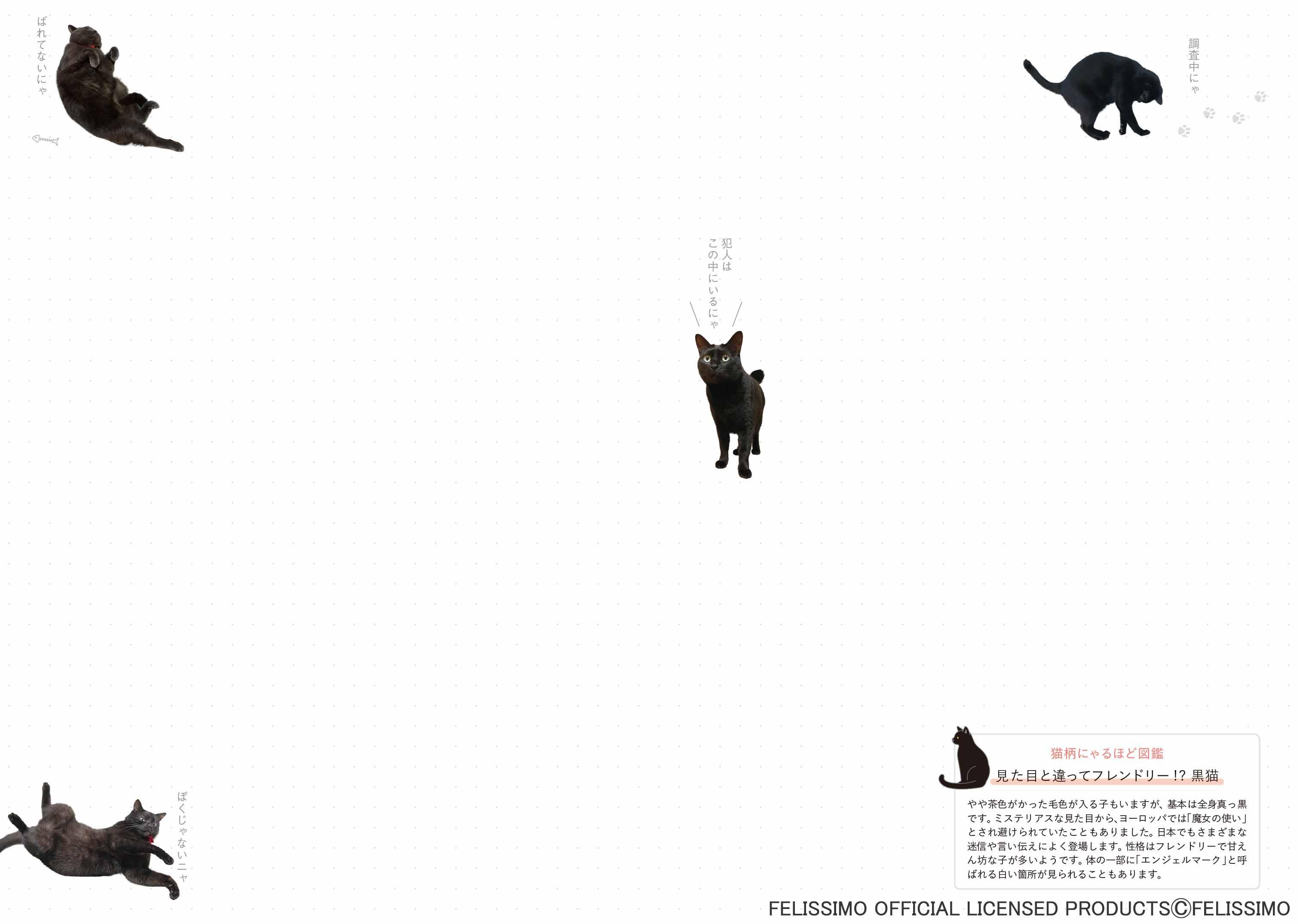 ページサンプル画像 10