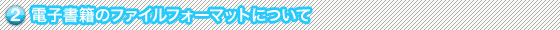 2�@�d�q���Ђ̃t�@�C���t�H�[�}�b�g�ɂ���