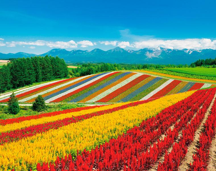 素晴らしき日本の風景 - インプレスブックス
